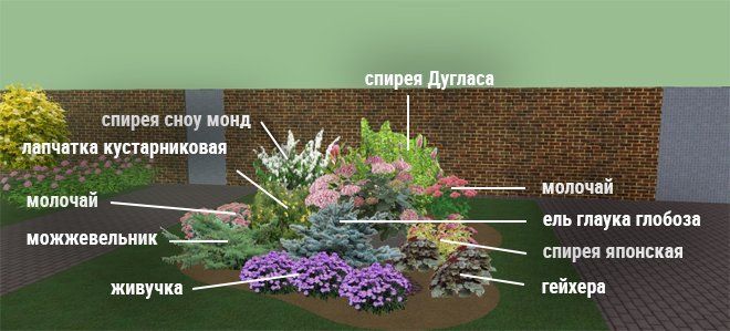 Красивые клумбы — подробная схема с описанием для начинающих садоводов (45 фото идей)